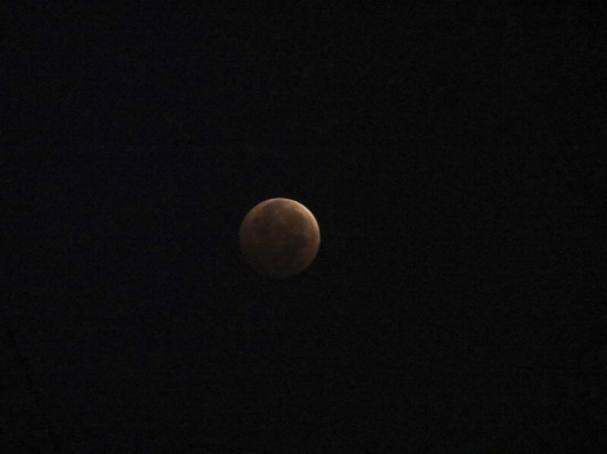 bloodmoon