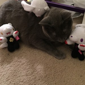 "Minion, what is this?"