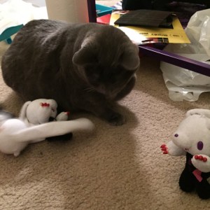 "Get these away from me, minion."