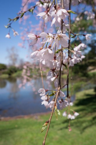 16847405318_78c2651405_k