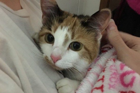 7472341_1449582104.2631